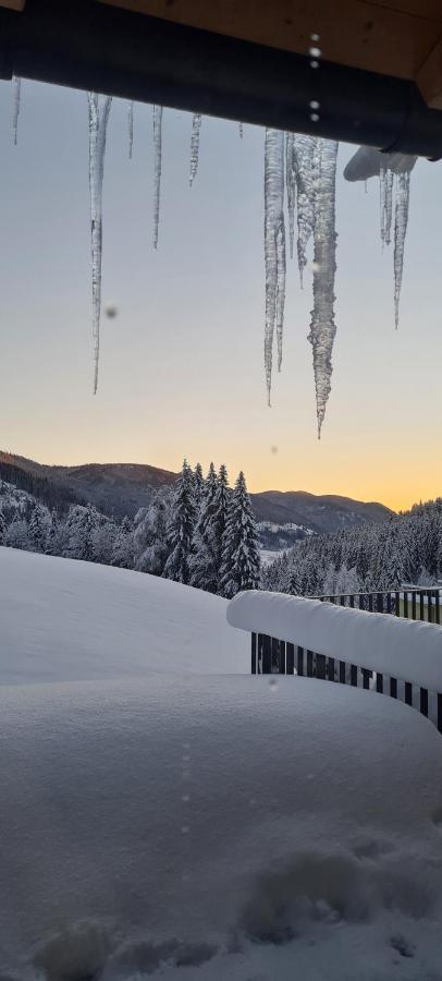 Penthouse Skyview Im Natur-Erlebnispark Bad Kleinkirchheim Patergassen Exterior photo